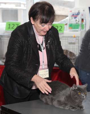 �������� ����� '������� ���-�����' 30 ������-1 ������� 2013., WCF-����� 2538